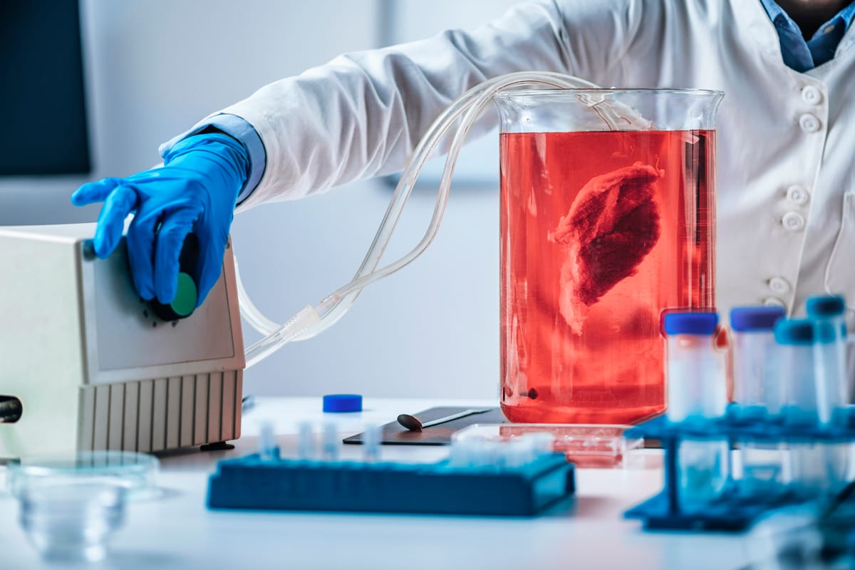 Person in a Lab Conducting an Experiment
