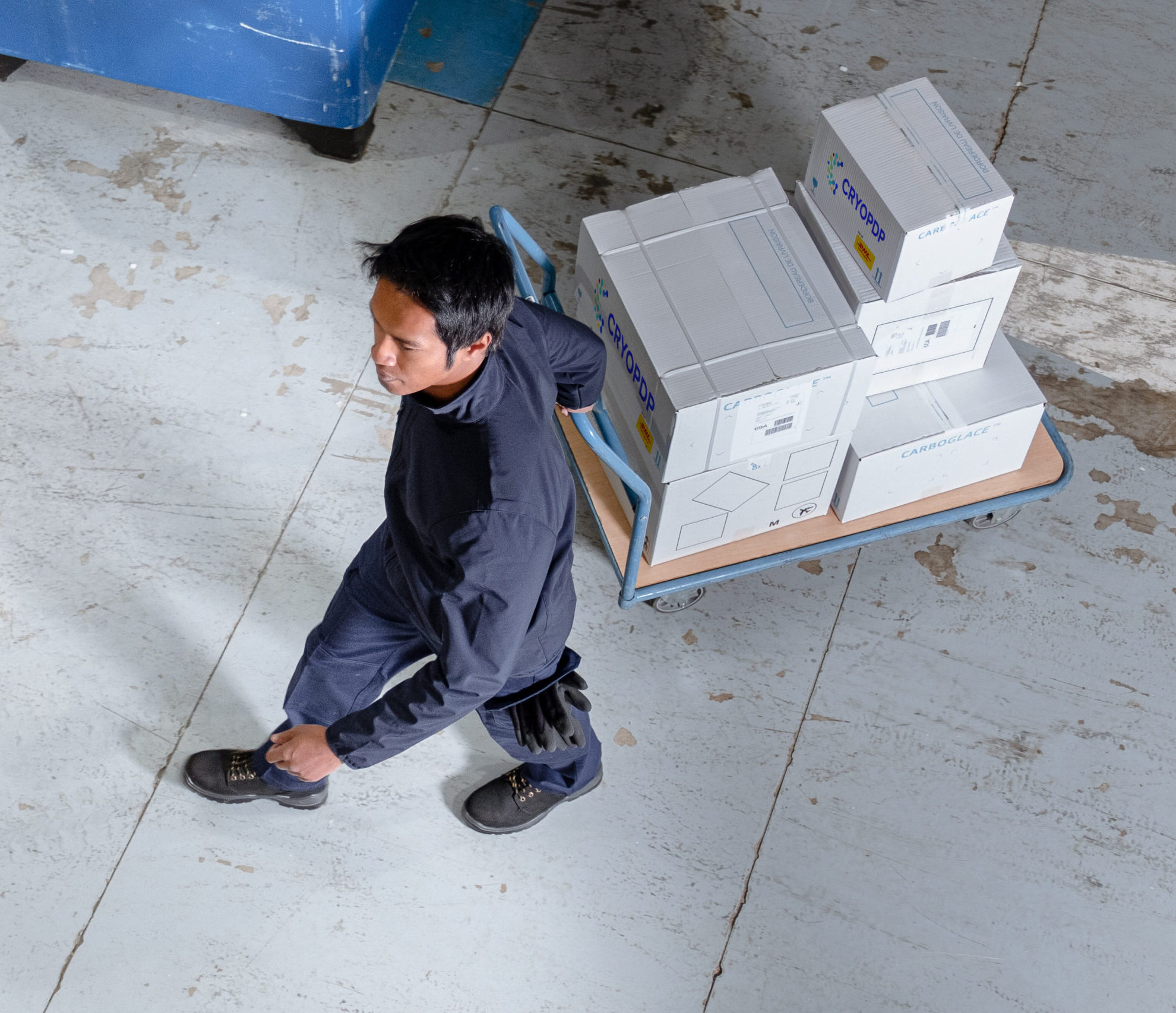 Logistics technician moving insulated life sciences shipments, representing the ground coordination behind CRYOPDP’s Onboard Courier service.