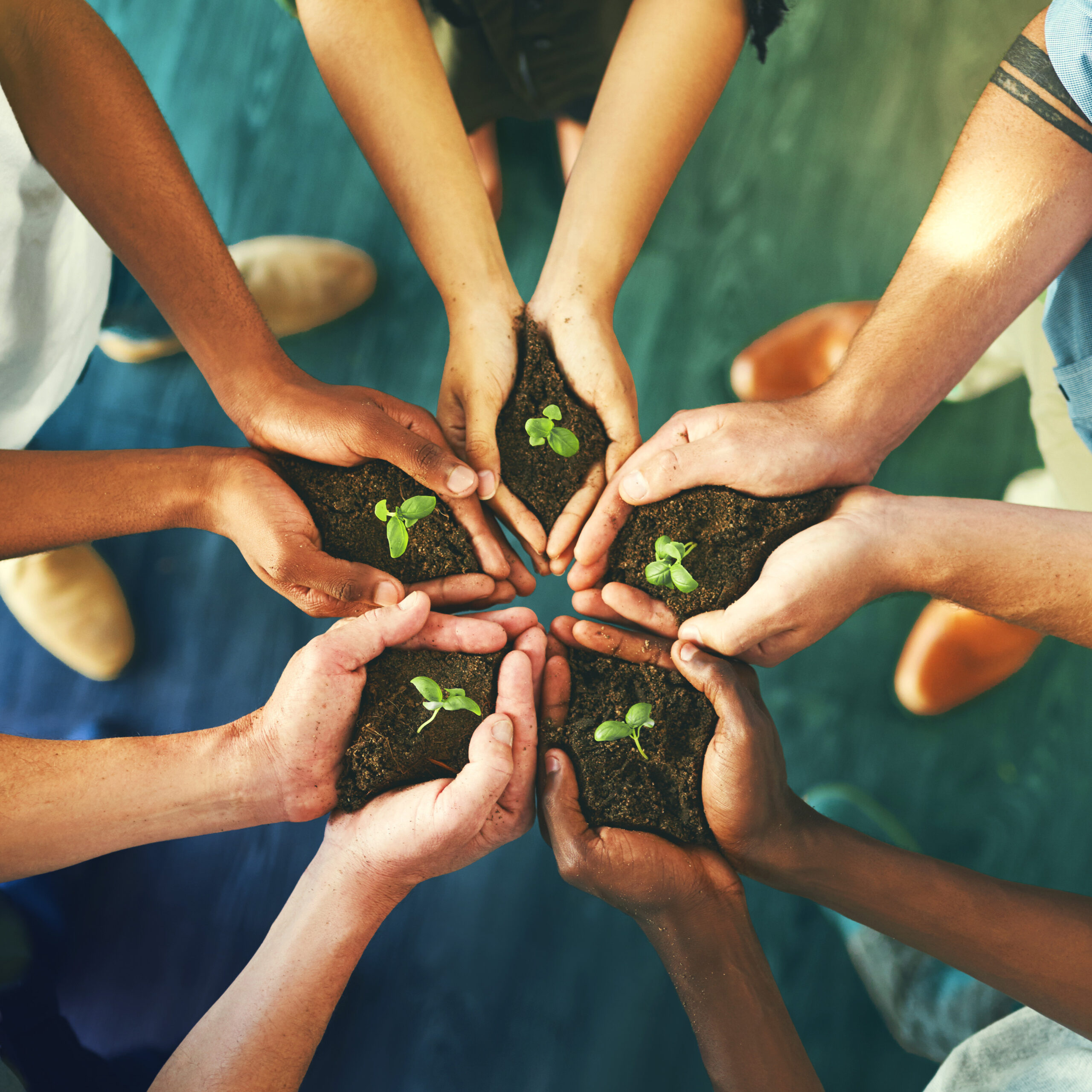 Hands holding soil with seedlings, symbolising shared responsibility in CSR and ESG in healthcare logistics