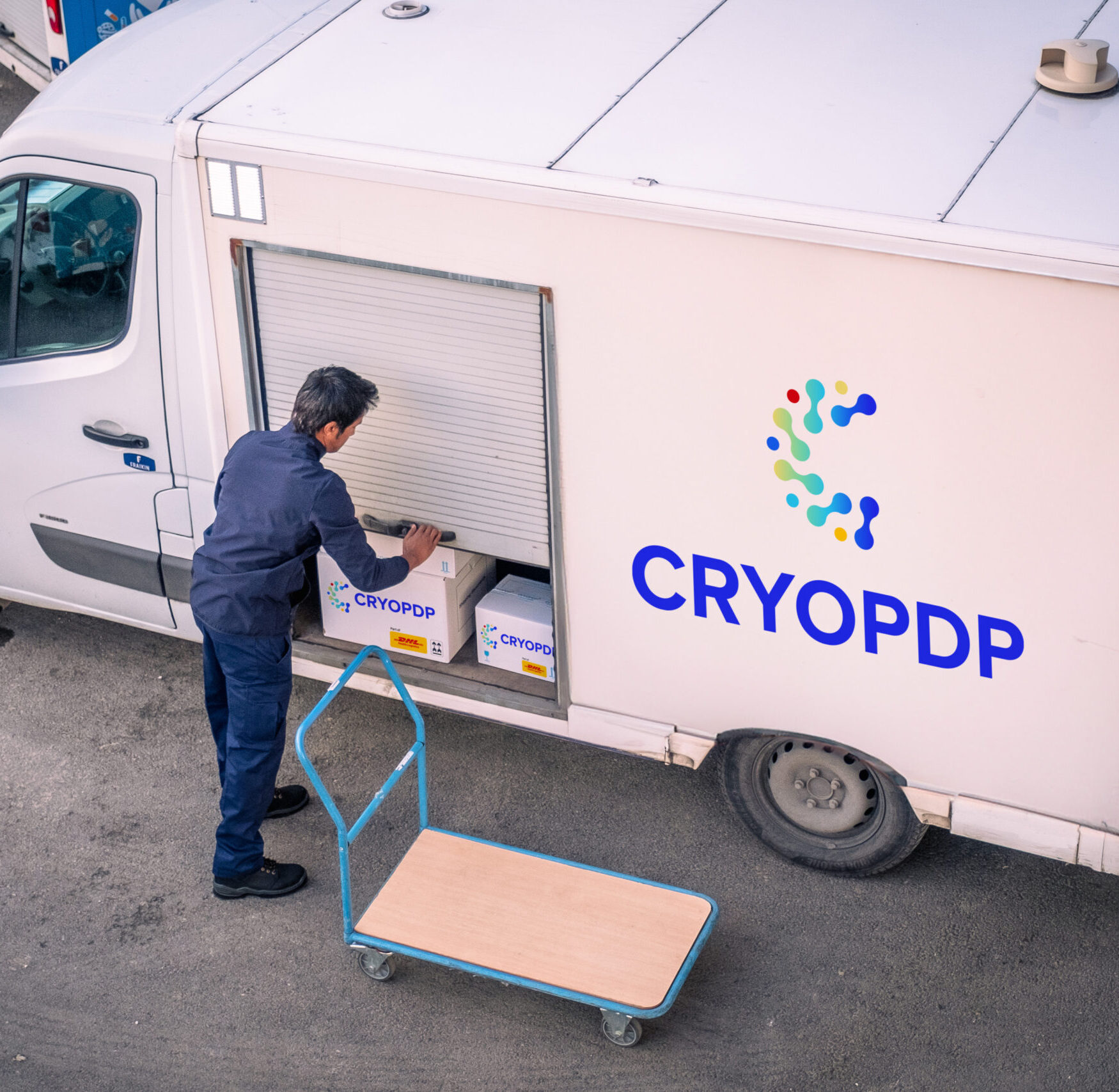 CRYOPDP team member loading parcels into a vehicle for temperature-sensitive logistics.