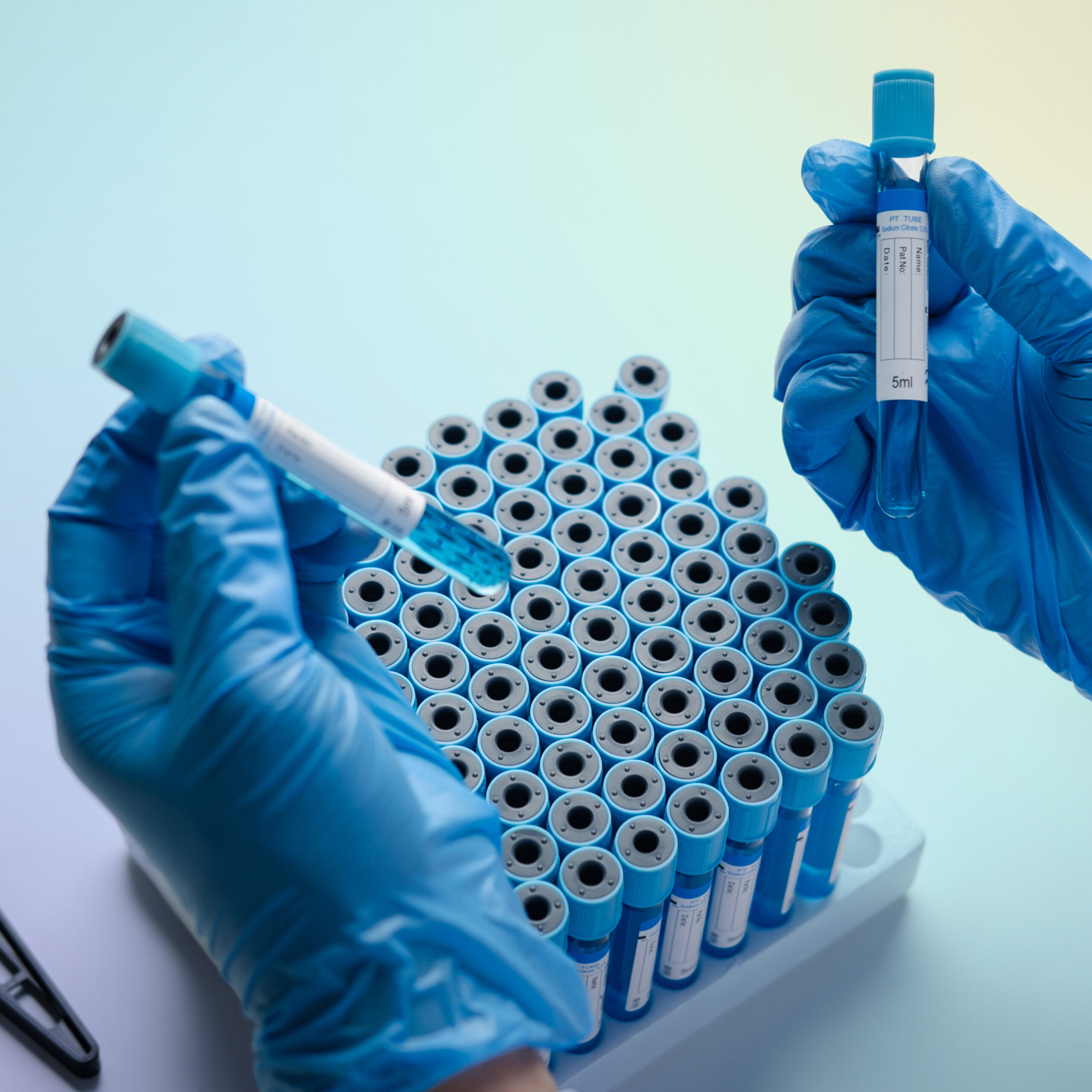 Gloved hands handling biological samples for temperature-controlled logistics